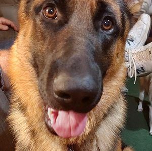 Meet your Posher, Sherry